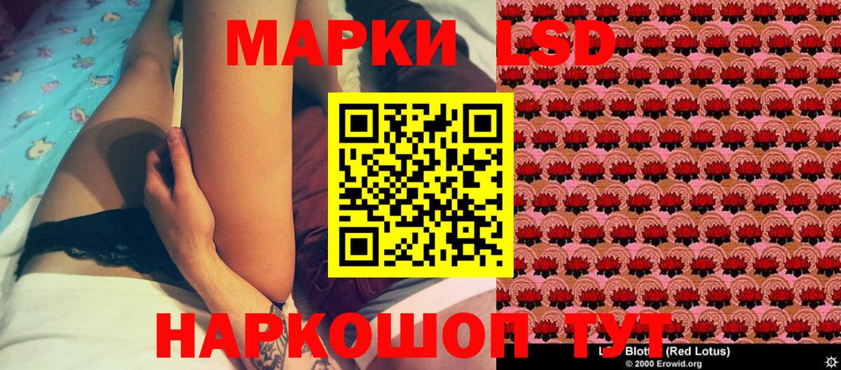 где купить наркоту  Марки 25I-NBOMe  Видное  Марки NBOMe 1500мкг  Вход с VPN  Марки NBOMe 1500мкг 