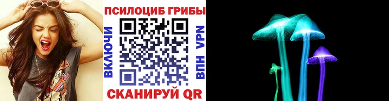 hydra tor  Видное  Галлюциногенные грибы мицелий 